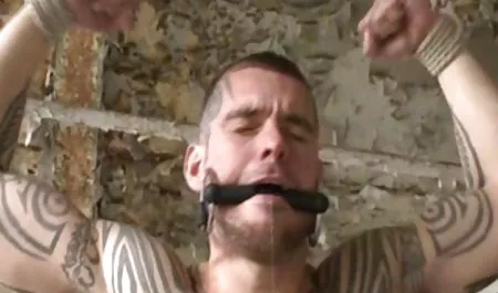 Tori Bellamy قبل فیلمسوپر مادر وپسر از ازدواج,انتقام,بسیار,خوشحال, Amigo